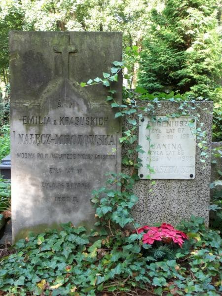 Zdjęcie grobu Janina Tomaszewska (2)