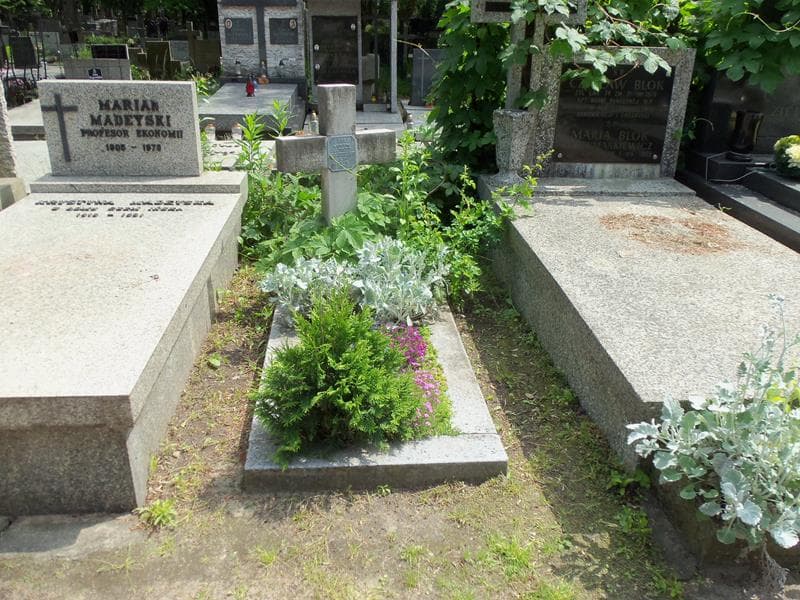 Zdjęcie grobu: Alfred Haberzak
