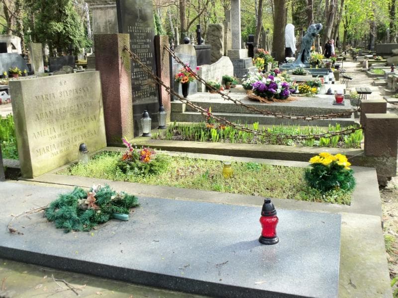 Zdjęcie grobu Amelia Leszczyńska (1)