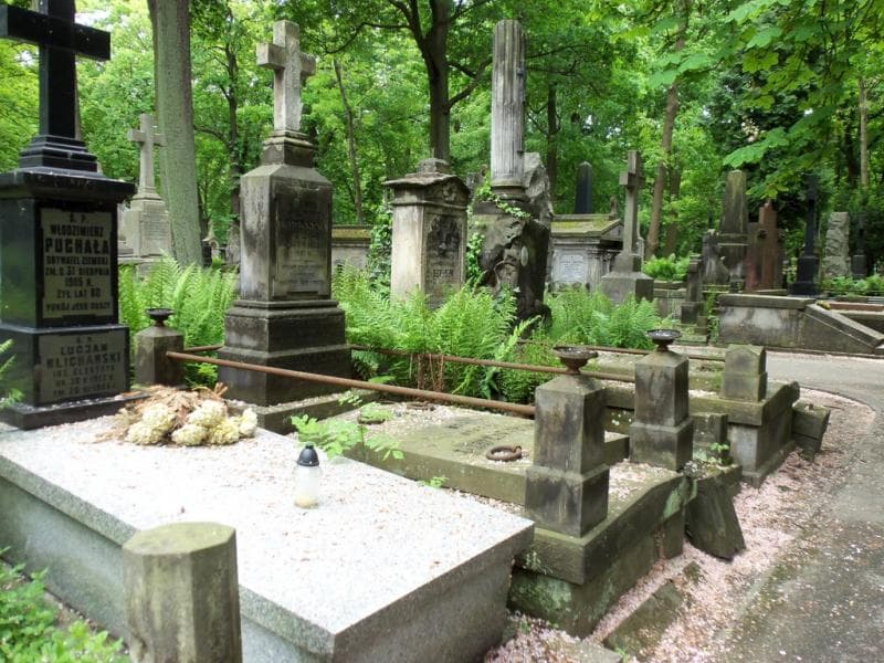 Zdjęcie grobu Joanna Lipińska (1)
