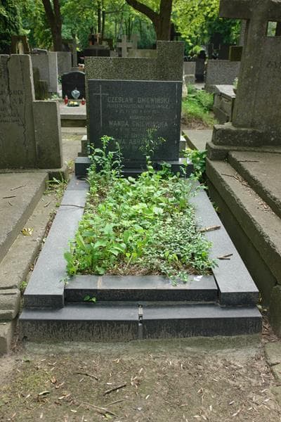 Zdjęcie grobu Ewa Abramska (1)