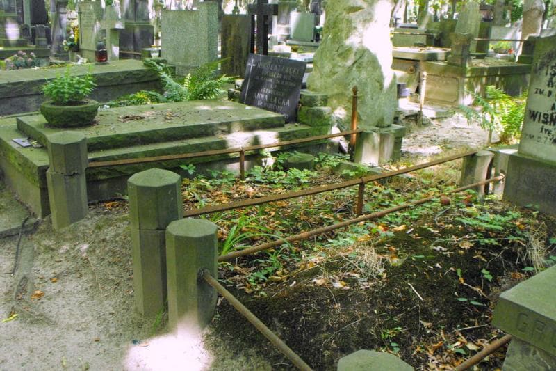 Zdjęcie grobu: Zygmuś Jackowski