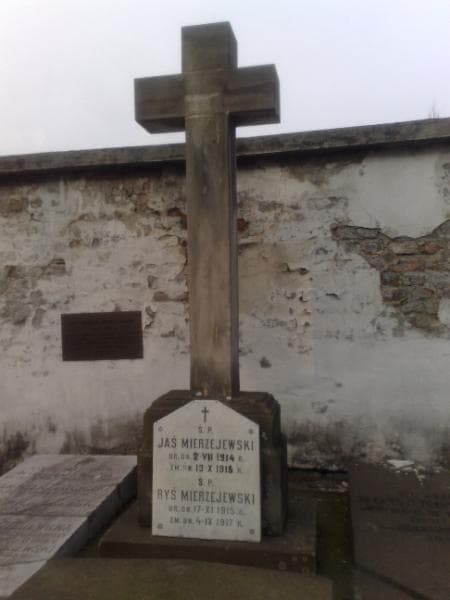 Zdjęcie grobu Józef Nowakowski (1)