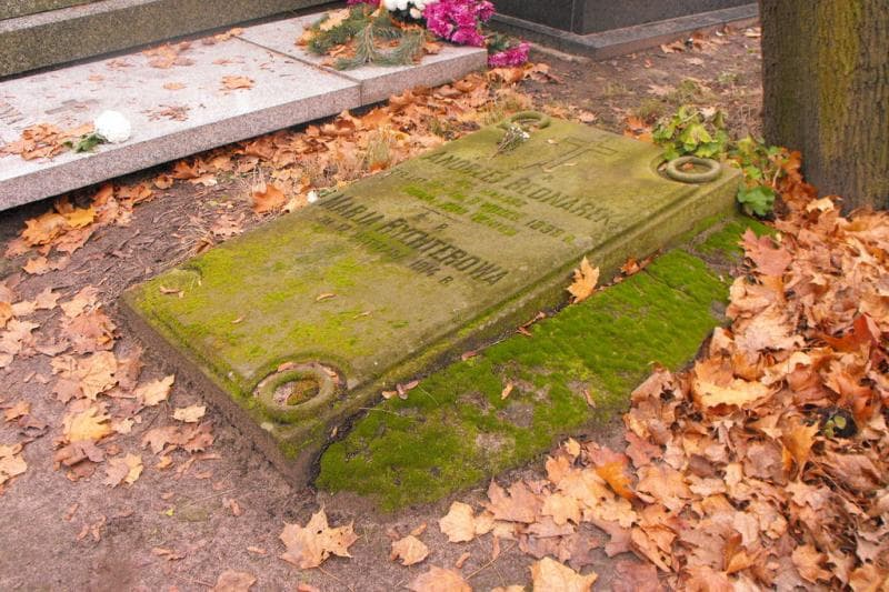 Zdjęcie grobu Andrzej Bednarek (1)
