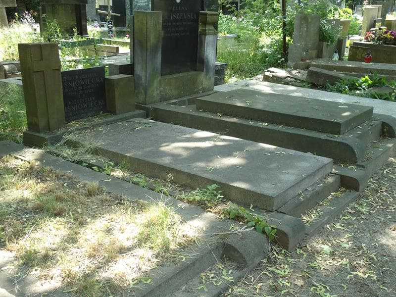 Zdjęcie grobu Anna Nowożyńska (1)
