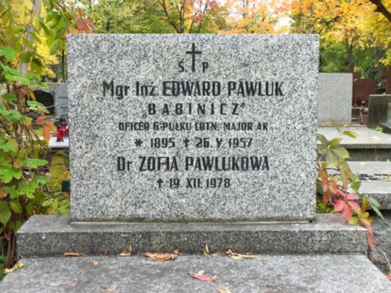 Zdjęcie grobu Zofia Pawlukowa (2)