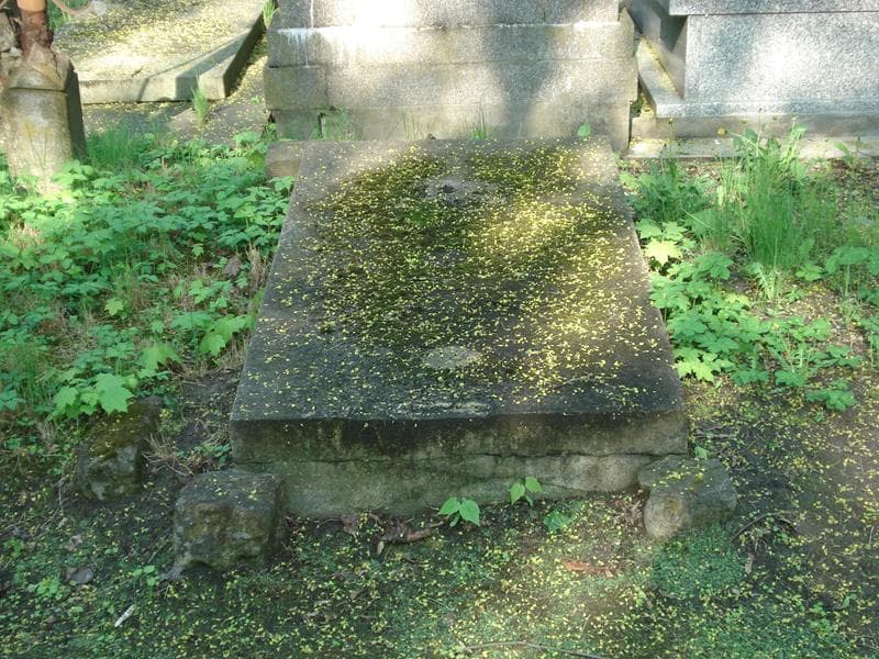 Zdjęcie grobu: Wacław Nartowski