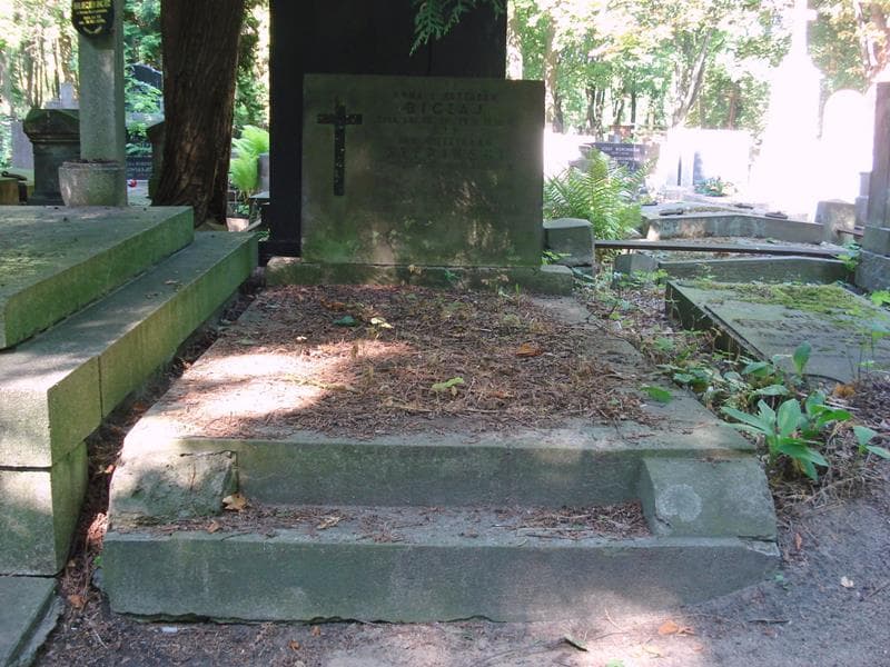 Zdjęcie grobu Anna Biczaj (1)