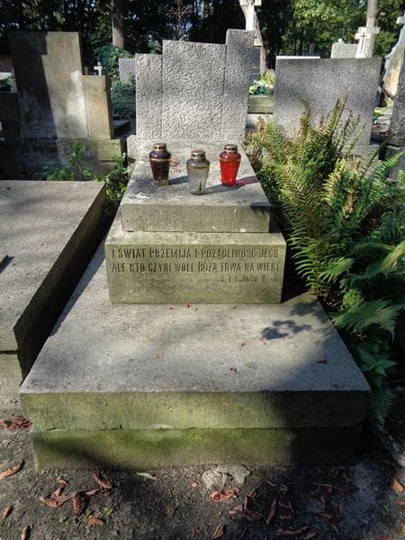 Zdjęcie grobu Bronisław Okołowicz (1)