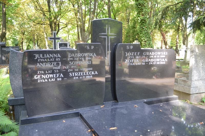 Zdjęcie grobu Julianna Dąbrowska (2)