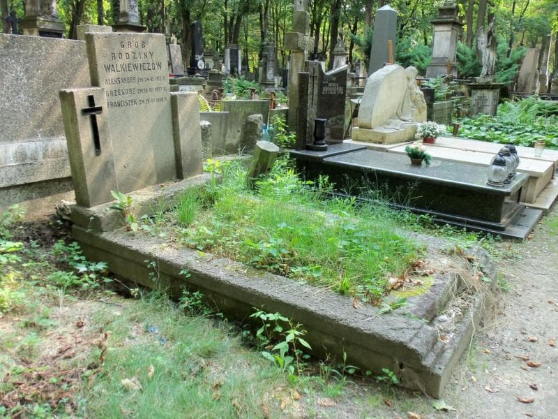 Zdjęcie grobu Aleksander Walkiewicz (1)