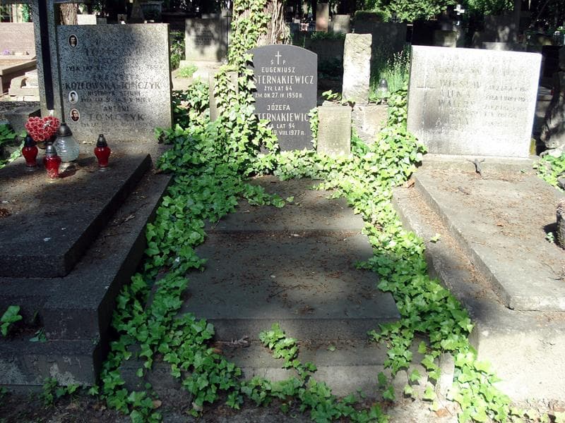 Zdjęcie grobu: Józefa Pasternakiewicz