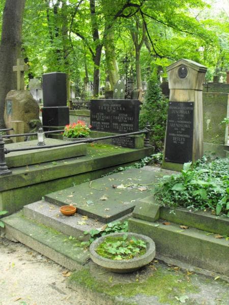 Zdjęcie grobu Konstancja Janowska (1)