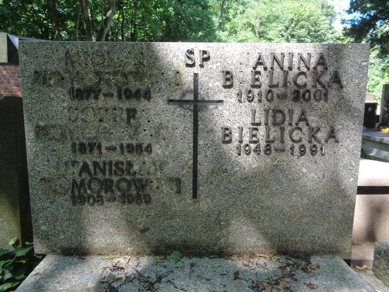 Zdjęcie grobu Lidia Bielicka (2)