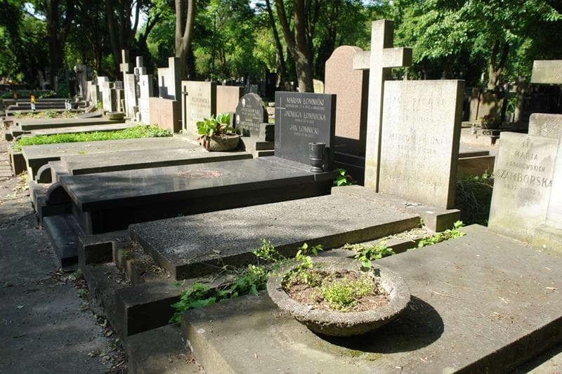Zdjęcie grobu: Alfreda Piwoni