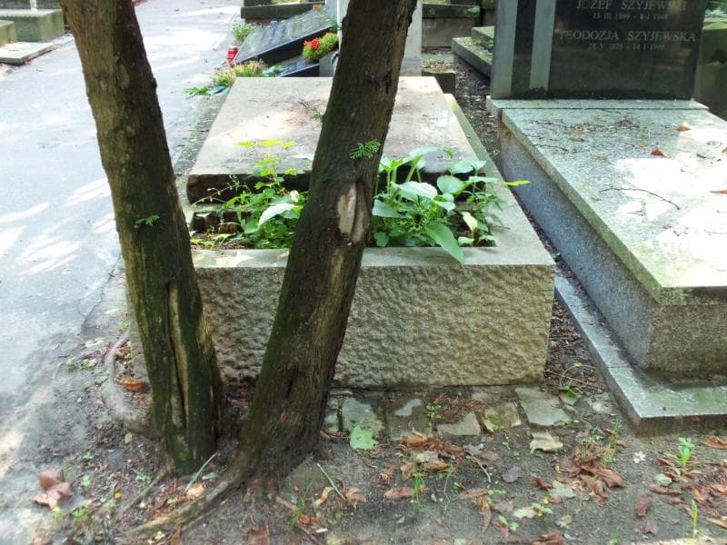 Zdjęcie grobu: Stanisław Hempel