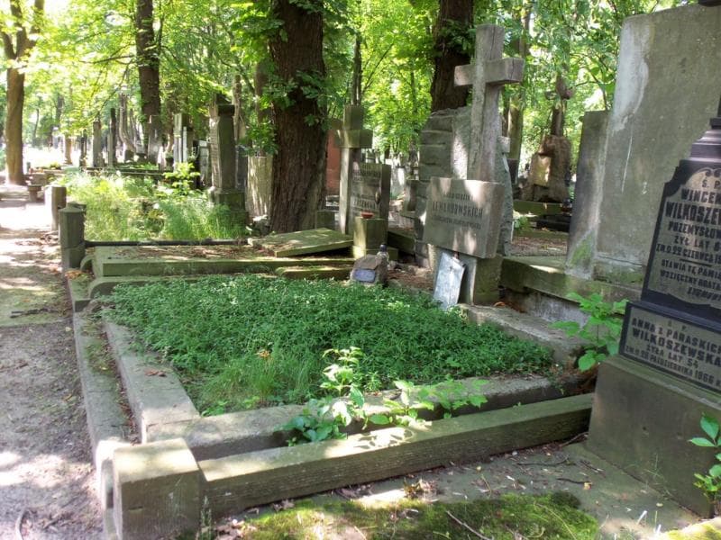 Zdjęcie grobu Antoni Sternstein - Helcel (1)