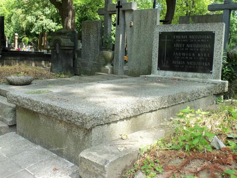 Zdjęcie grobu Ewunia Niedziółka (1)
