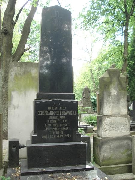 Zdjęcie grobu Marjan Józef Cederbaum-Sieniawski (2)