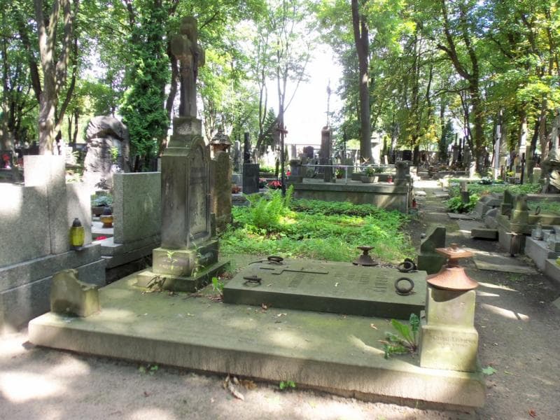 Zdjęcie grobu: Tadeusz Domański