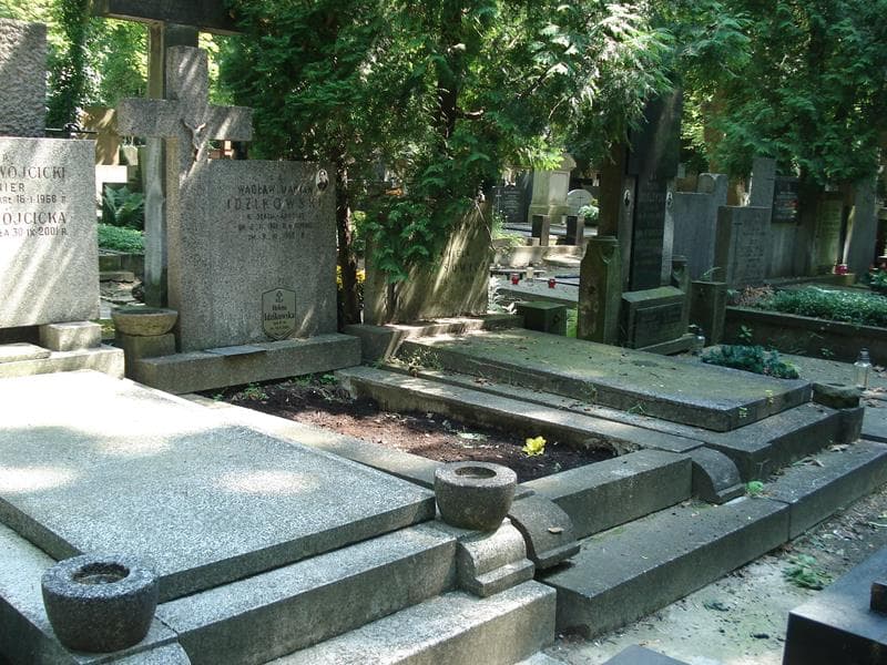Zdjęcie grobu Wacław Idzikowski (1)