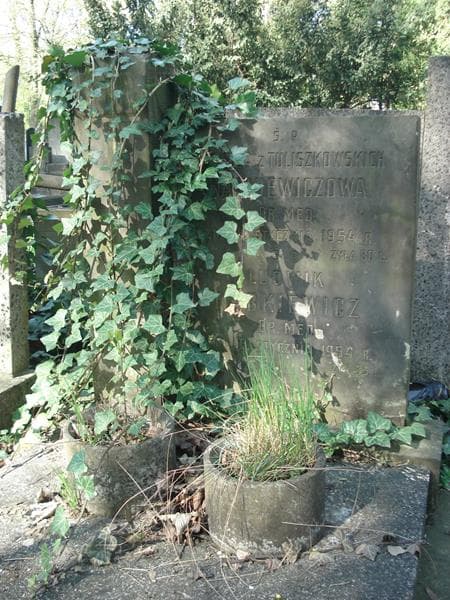 Zdjęcie grobu Ludwik Narkiewicz (2)