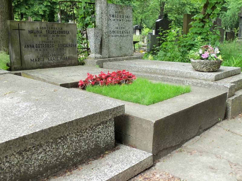 Zdjęcie grobu Maria Krajewska (1)