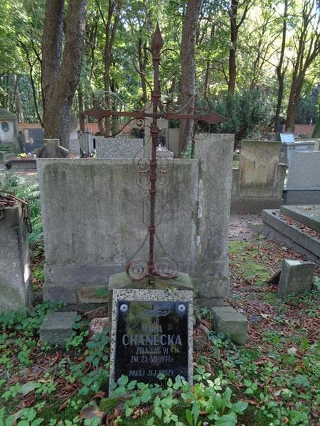 Zdjęcie grobu Teresa Chanecka (2)
