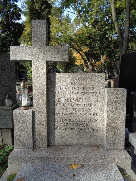 Zdjęcie grobu Eugeniusz Zdzisław Piotrowski (2)