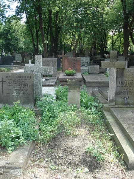Zdjęcie grobu: Jerzy Niedziałkowski
