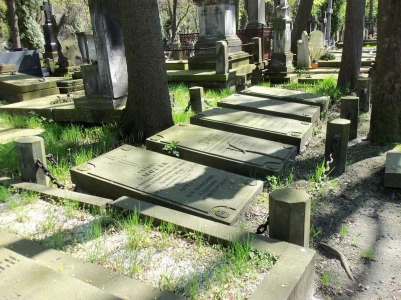 Zdjęcie grobu Janina Lieslowa (1)