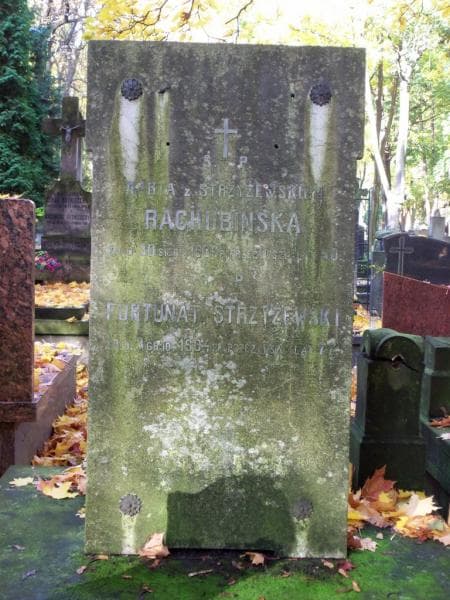 Zdjęcie grobu Fortunat Strzyżewski (1)