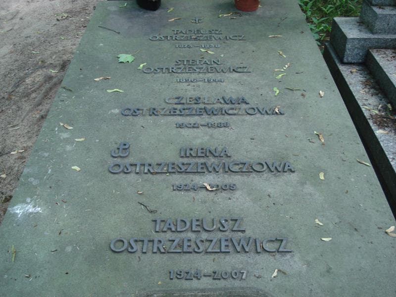 Zdjęcie grobu Stefan Ostrzeszewicz (1)