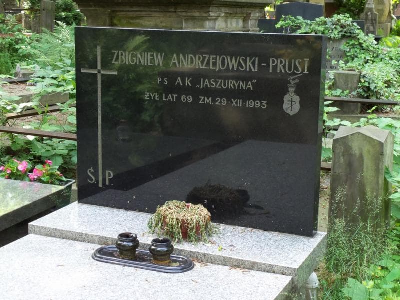 Zdjęcie grobu Zbigniew Andrzejowski (2)