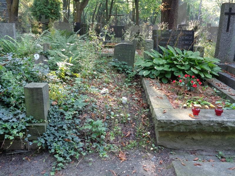 Zdjęcie grobu: ... Szmidtówna