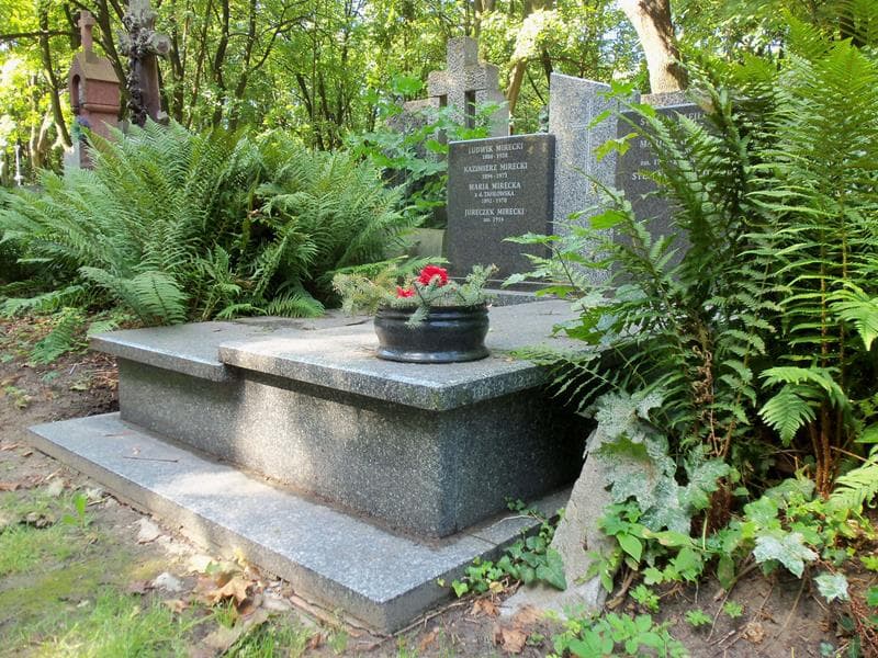Zdjęcie grobu Stefan Tafiłowski (1)