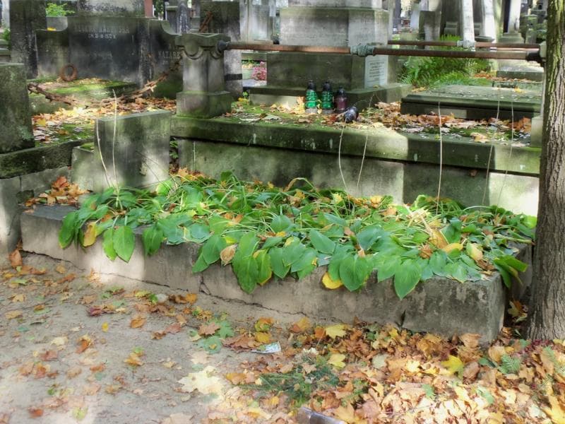 Zdjęcie grobu Jaś Turski (1)