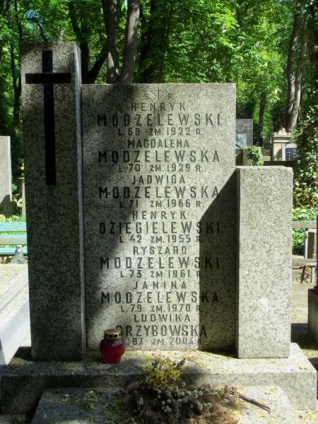 Zdjęcie grobu Henryk Dzięgielewski (2)