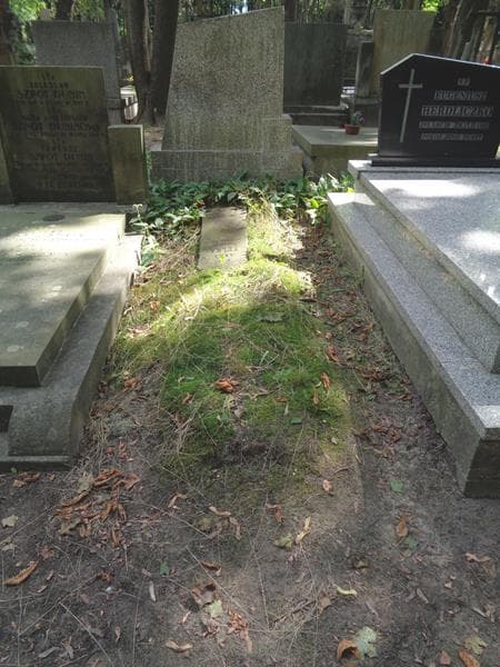 Zdjęcie grobu: Anna Pełka