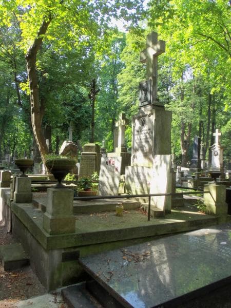 Zdjęcie grobu Ludwik Okoński (1)