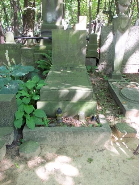 Zdjęcie grobu Franciszek Olejniczak (1)
