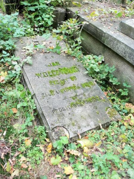 Zdjęcie grobu Jan Wólczyński (2)