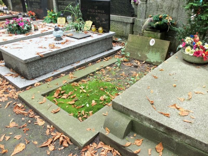 Zdjęcie grobu: Emilia Krzyżanowska