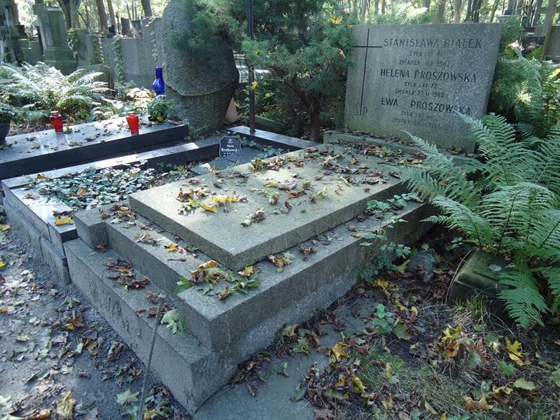 Zdjęcie grobu Stanisława Białek (1)