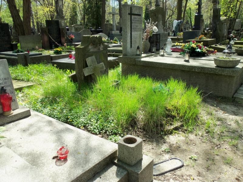 Zdjęcie grobu Józef Kurek (1)
