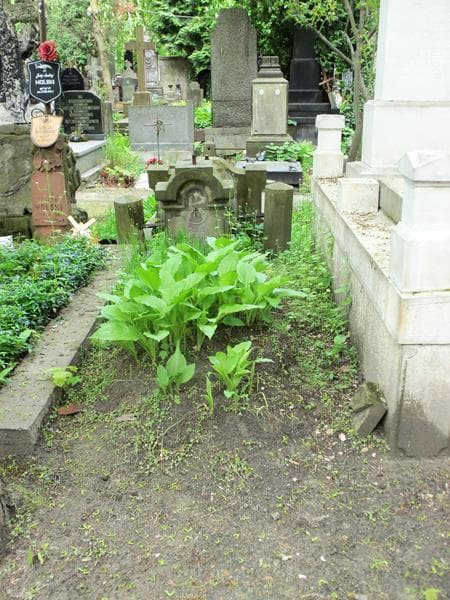 Zdjęcie grobu: Cesio Kępczyński