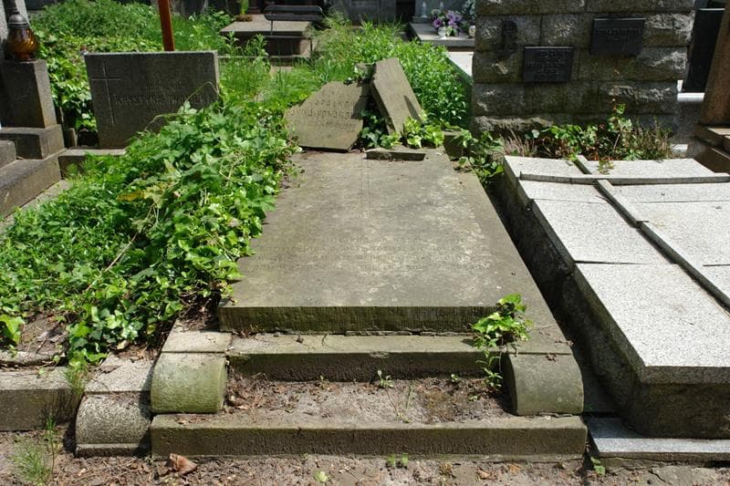 Zdjęcie grobu Zygmunt Nowak (1)