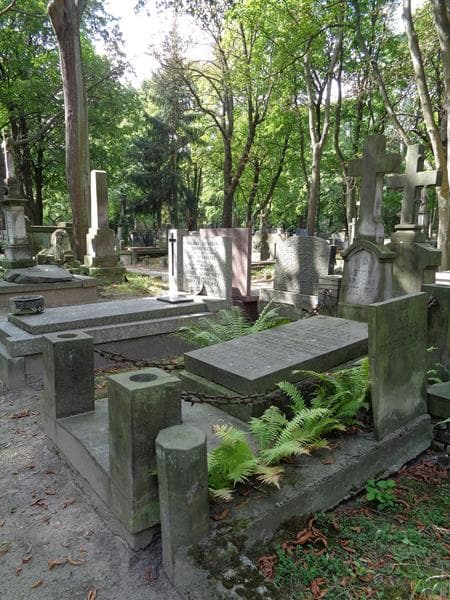 Zdjęcie grobu: Halina Górska