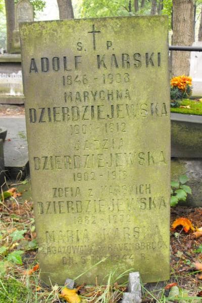 Zdjęcie grobu Zofia Dzierdziejewska (2)