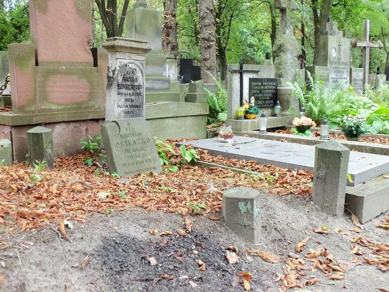 Zdjęcie grobu Aniela Nowakowska (1)